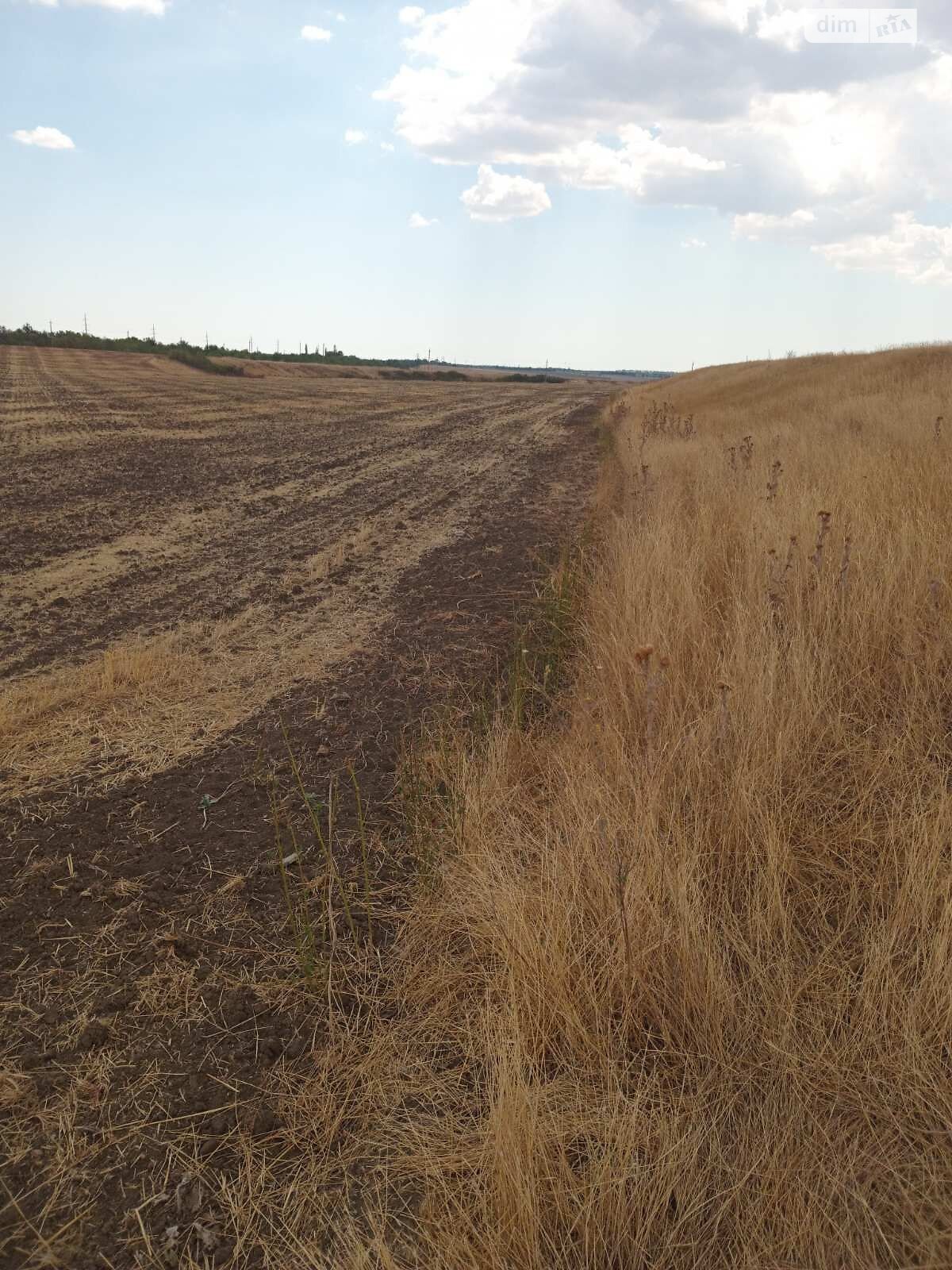 Аренда земли сельскохозяйственного назначения в Березани, цена: 23 042 грн за объект фото 1 Аренда земли сельскохозяйственного назначения в Березани, цена: 23 042 грн за объект фото 1