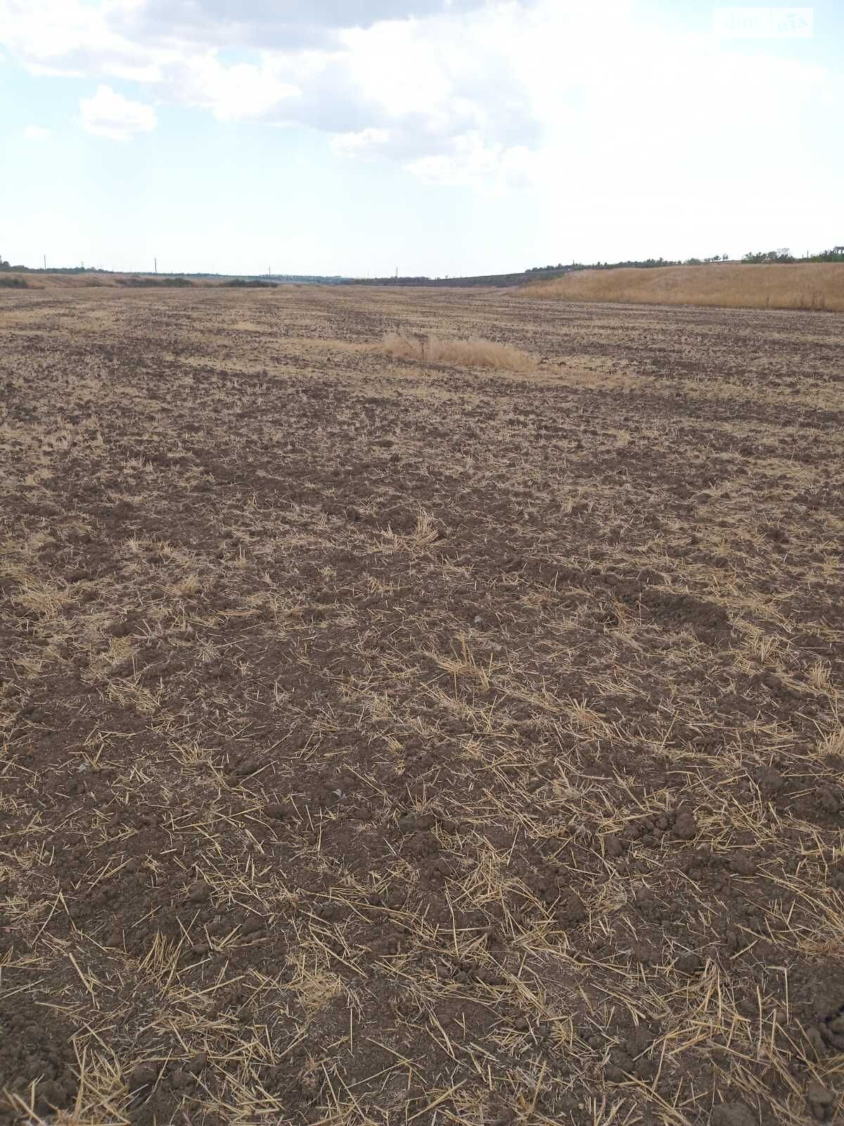 Аренда земли сельскохозяйственного назначения в Березани, цена: 23 042 грн за объект фото 1 Аренда земли сельскохозяйственного назначения в Березани, цена: 23 042 грн за объект фото 1