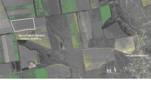 Оренда землі сільськогосподарського призначення в Березнегуватому, ціна: 70 023 грн за об’єкт фото 1 Оренда землі сільськогосподарського призначення в Березнегуватому, ціна: 70 023 грн за об’єкт фото 1