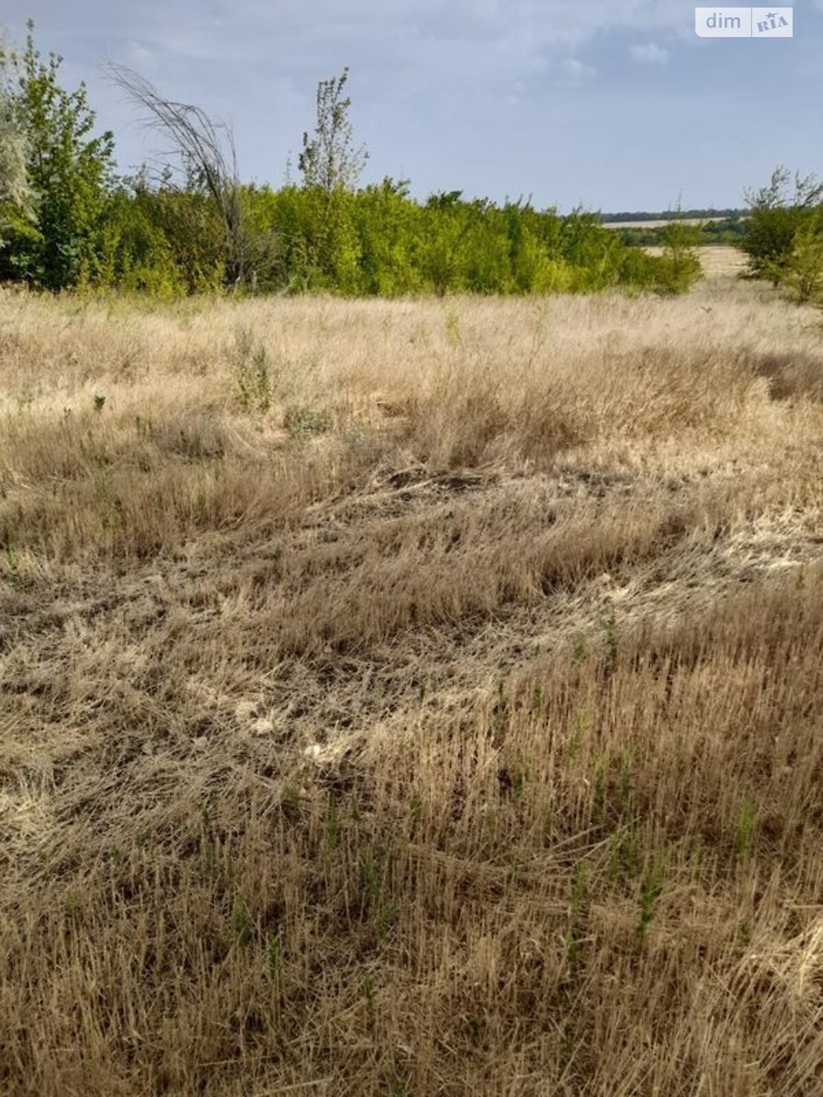 Оренда землі сільськогосподарського призначення в Березноватівці, ціна: 25 051 грн за об’єкт фото 1 Оренда землі сільськогосподарського призначення в Березноватівці, ціна: 25 051 грн за об’єкт фото 1
