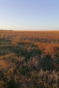 Аренда земли сельскохозяйственного назначения в Березноватовке, цена: 18 985 грн за объект фото 1