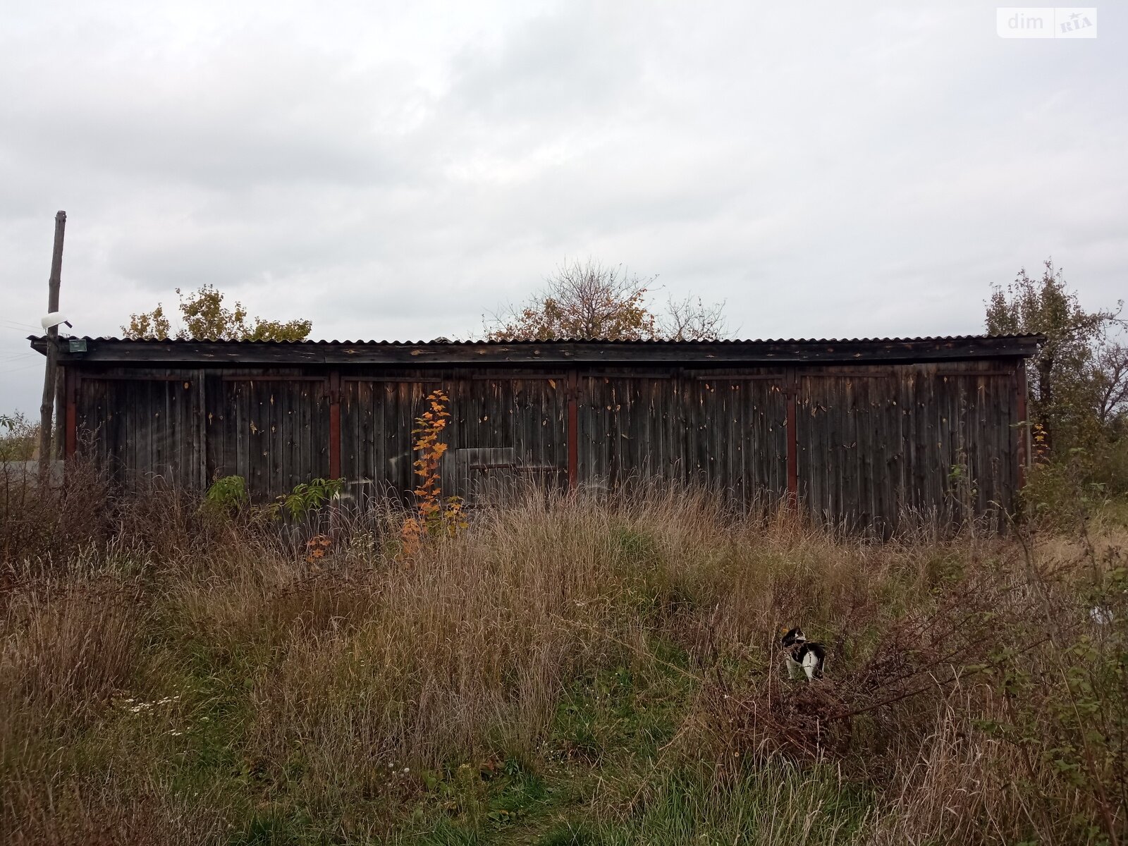 Оренда землі сільськогосподарського призначення в Березолуки, ціна: 1 000 грн за об’єкт фото 1 Оренда землі сільськогосподарського призначення в Березолуки, ціна: 1 000 грн за об’єкт фото 1