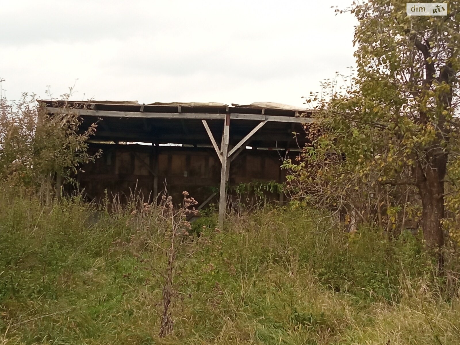 Оренда землі сільськогосподарського призначення в Березолуки, ціна: 1 000 грн за об’єкт фото 1 Оренда землі сільськогосподарського призначення в Березолуки, ціна: 1 000 грн за об’єкт фото 1