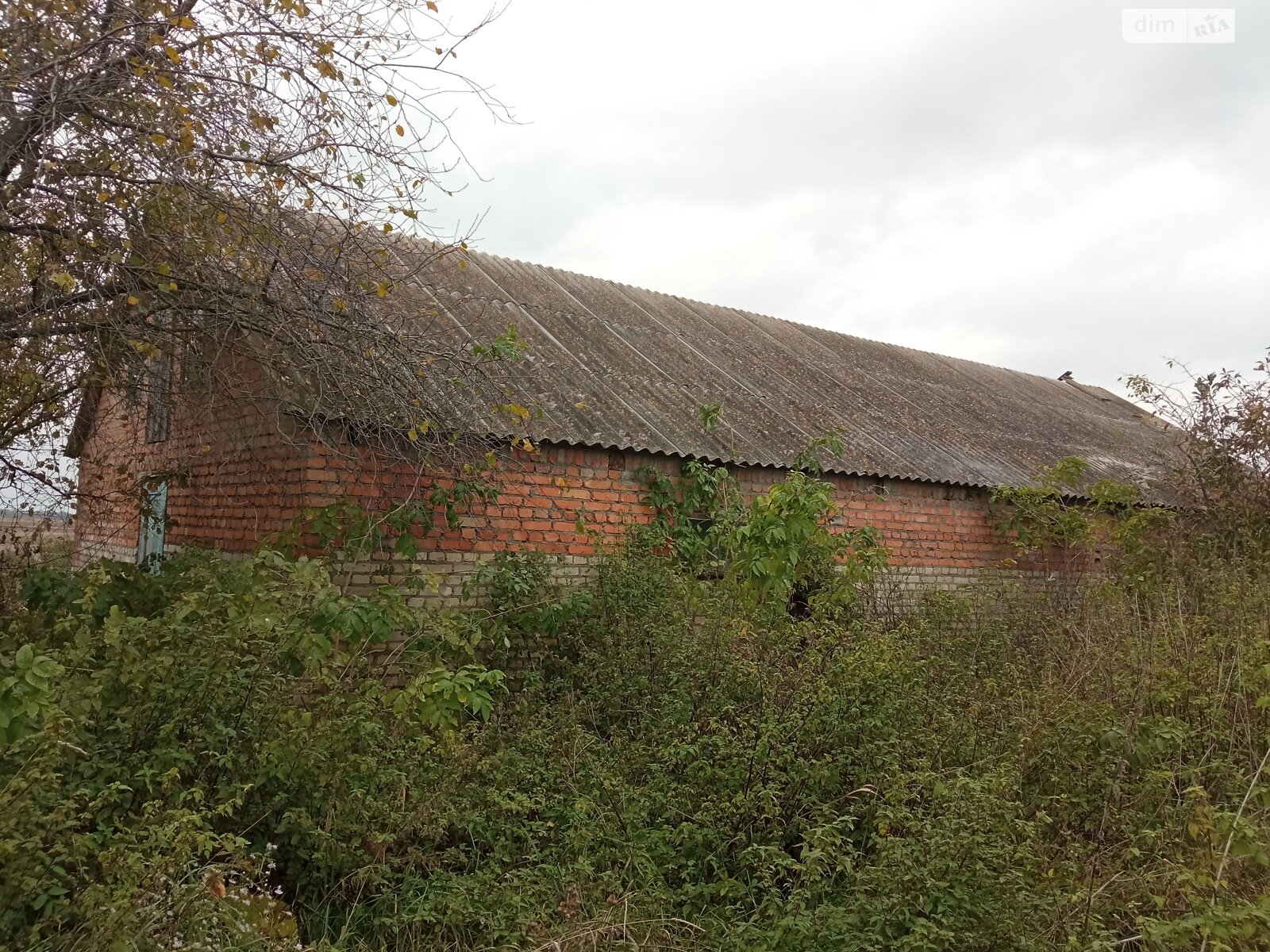 Оренда землі сільськогосподарського призначення в Березолуки, ціна: 1 000 грн за об’єкт фото 1 Оренда землі сільськогосподарського призначення в Березолуки, ціна: 1 000 грн за об’єкт фото 1