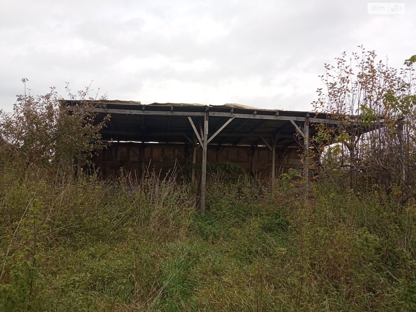 Оренда землі сільськогосподарського призначення в Березолуки, ціна: 1 000 грн за об’єкт фото 1 Оренда землі сільськогосподарського призначення в Березолуки, ціна: 1 000 грн за об’єкт фото 1