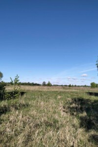 Оренда землі сільськогосподарського призначення в Березівці, ціна: 52 588 грн за об’єкт фото 1 Оренда землі сільськогосподарського призначення в Березівці, ціна: 52 588 грн за об’єкт фото 1