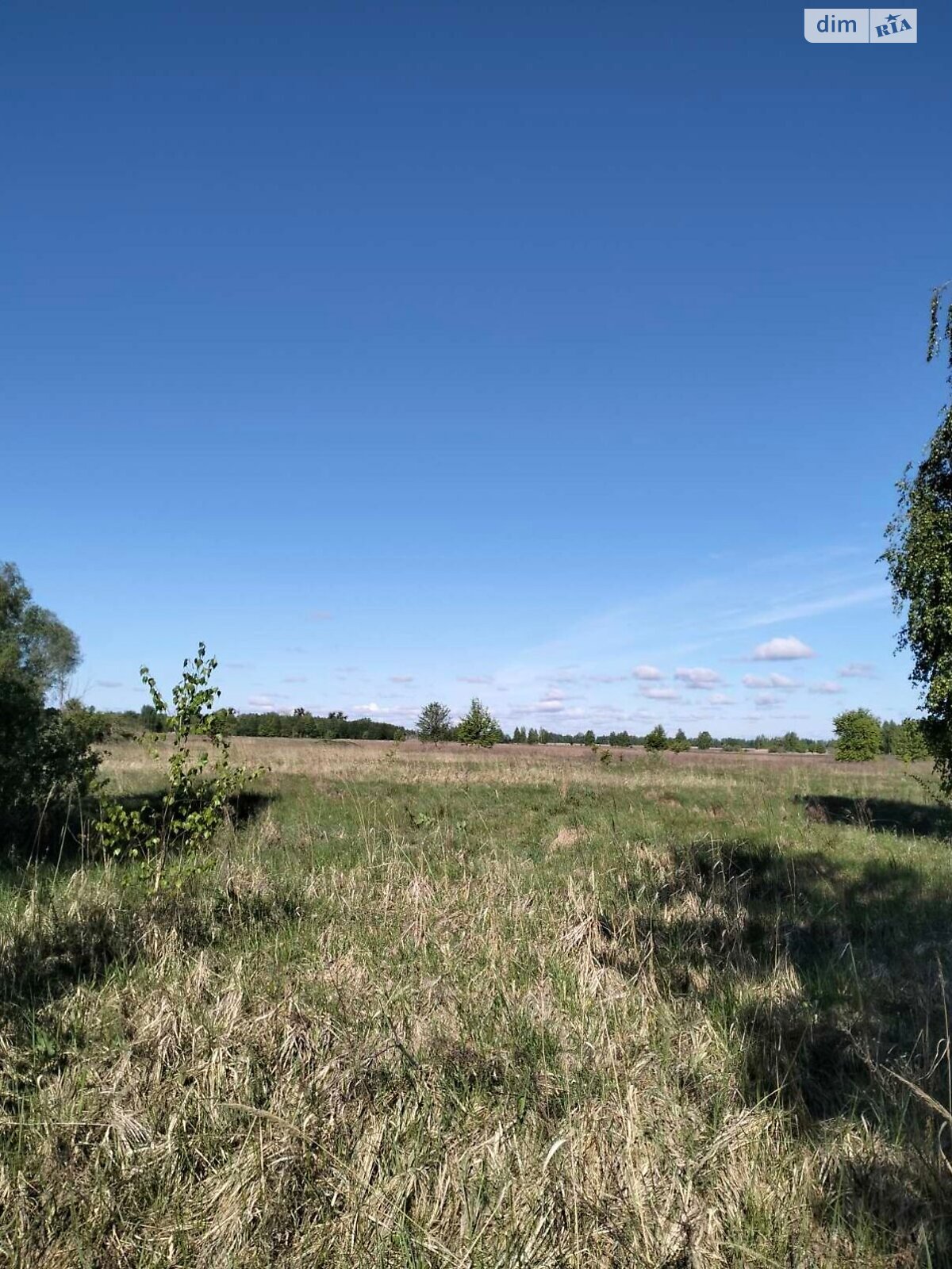 Оренда землі сільськогосподарського призначення в Березівці, ціна: 52 588 грн за об’єкт фото 1 Оренда землі сільськогосподарського призначення в Березівці, ціна: 52 588 грн за об’єкт фото 1