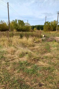 Оренда землі сільськогосподарського призначення в Бездрику, ціна: 5 827 грн за об’єкт фото 2