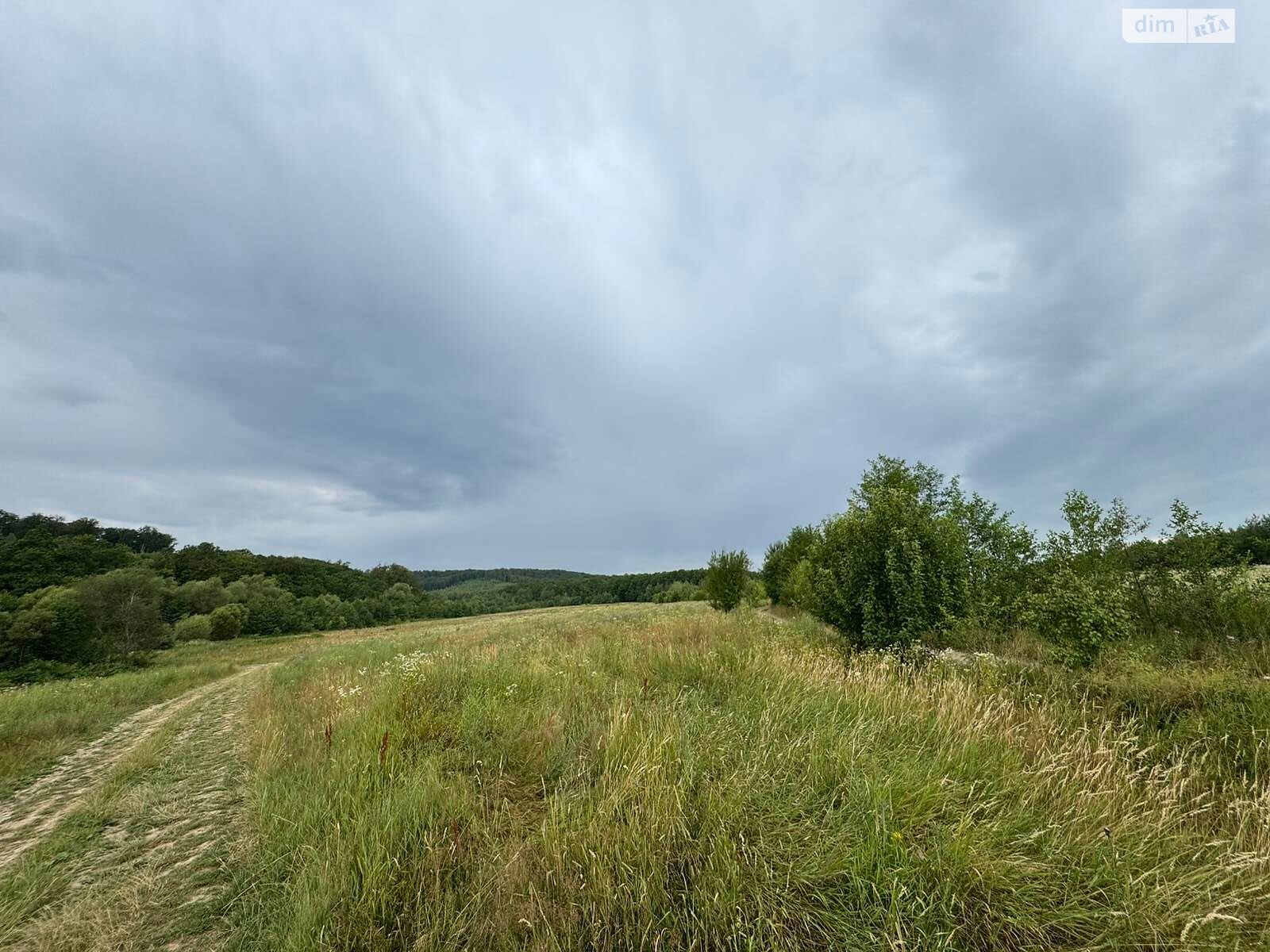 Аренда земли сельскохозяйственного назначения в Болехове, цена: 1 566 грн за объект фото 1