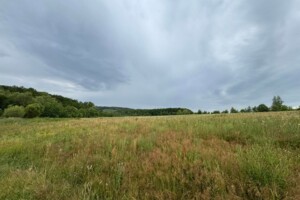 Аренда земли сельскохозяйственного назначения в Болехове, цена: 1 566 грн за объект фото 2