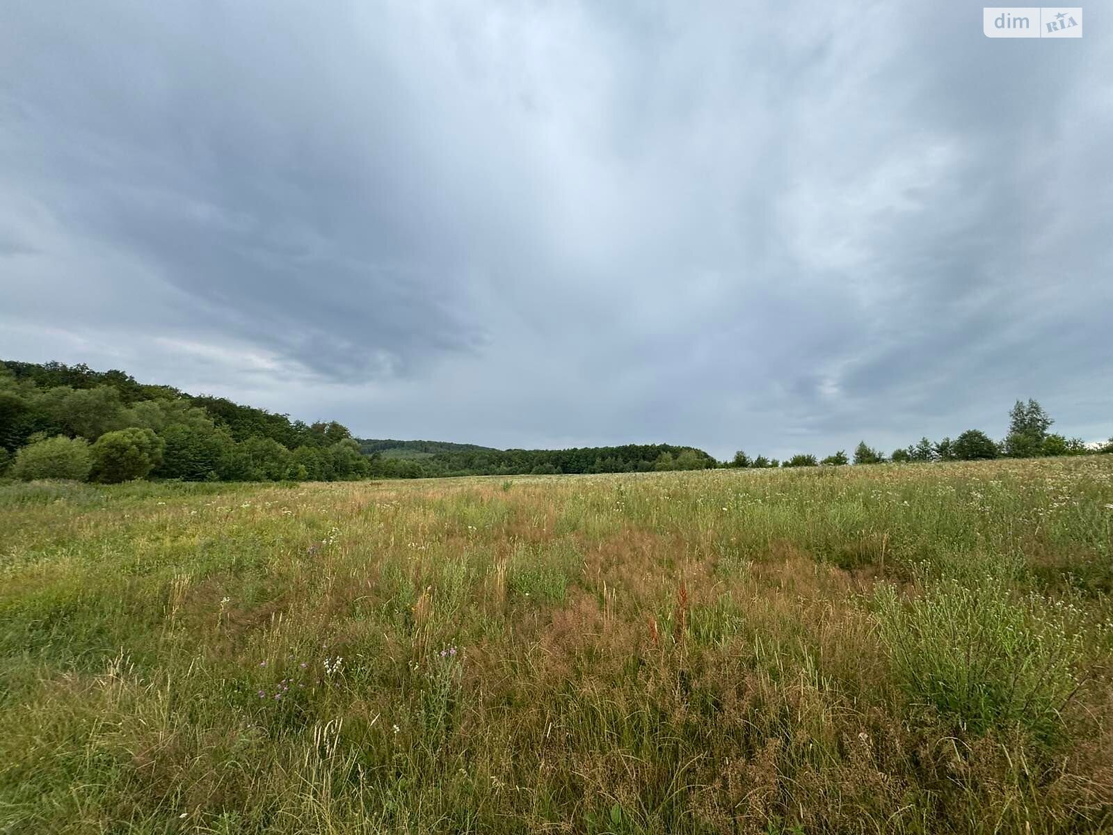 Аренда земли сельскохозяйственного назначения в Болехове, цена: 1 566 грн за объект фото 1