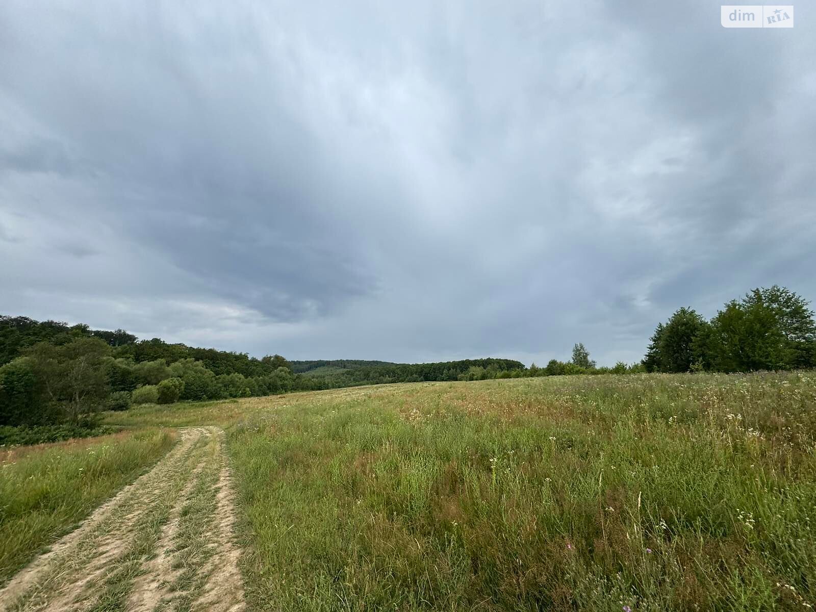 Аренда земли сельскохозяйственного назначения в Болехове, цена: 1 566 грн за объект фото 1