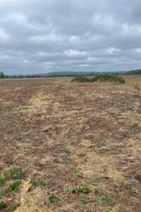 Оренда землі сільськогосподарського призначення в Болехові, ціна: 11 886 грн за об’єкт фото 1