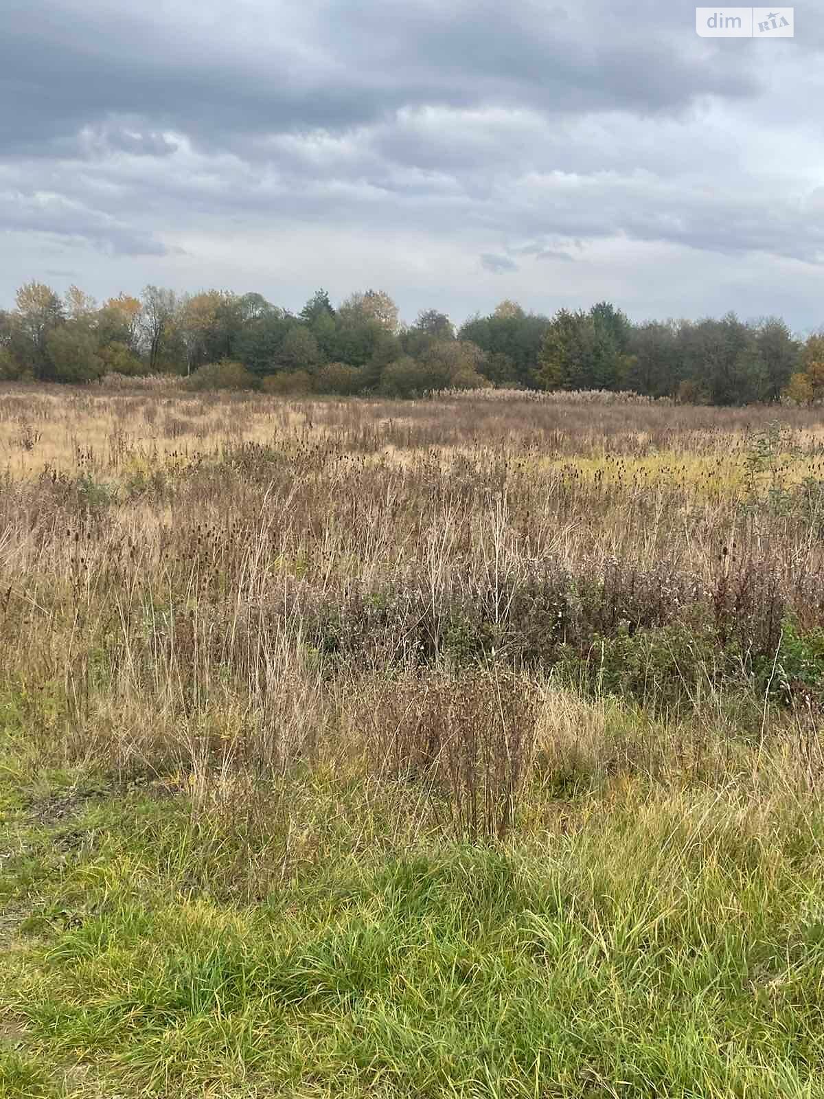 Аренда земли сельскохозяйственного назначения в Болехове, цена: 2 729 грн за объект фото 1 Аренда земли сельскохозяйственного назначения в Болехове, цена: 2 729 грн за объект фото 1