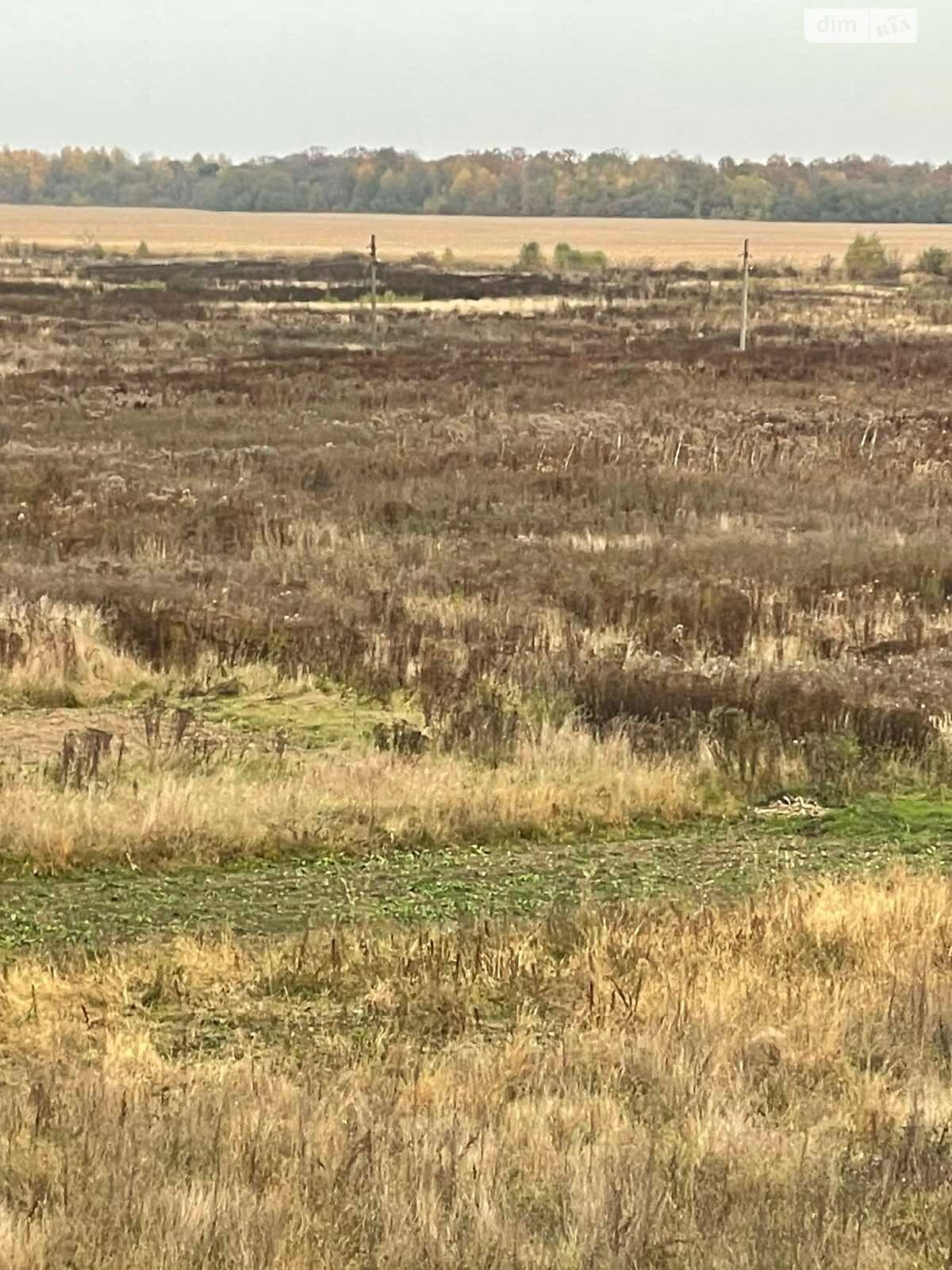 Оренда землі сільськогосподарського призначення в Болехові, ціна: 22 792 грн за об’єкт фото 1 Оренда землі сільськогосподарського призначення в Болехові, ціна: 22 792 грн за об’єкт фото 1