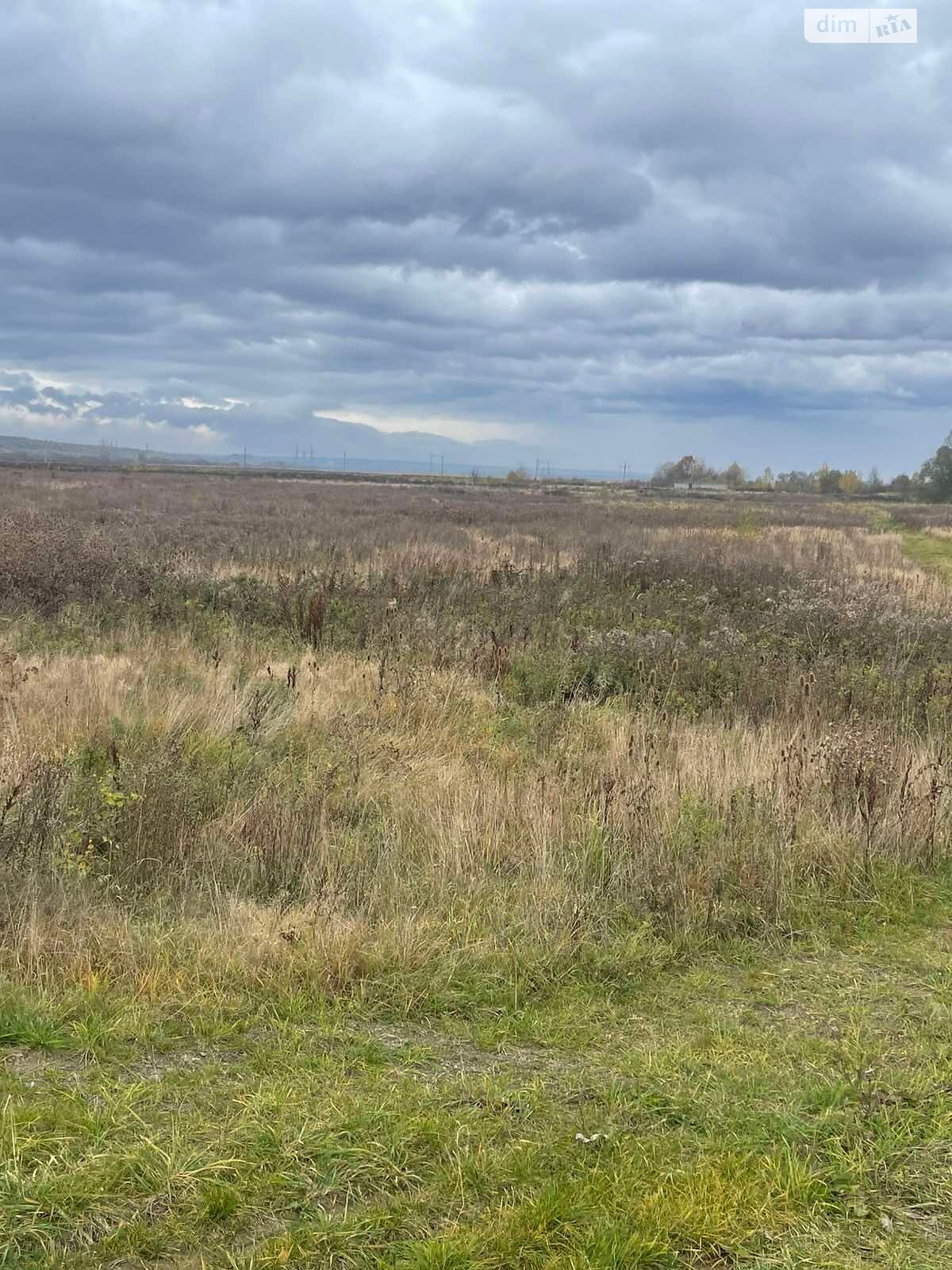 Аренда земли сельскохозяйственного назначения в Болехове, цена: 2 729 грн за объект фото 1 Аренда земли сельскохозяйственного назначения в Болехове, цена: 2 729 грн за объект фото 1