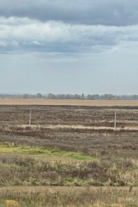 Оренда землі сільськогосподарського призначення в Болехові, ціна: 22 792 грн за об’єкт фото 2 Оренда землі сільськогосподарського призначення в Болехові, ціна: 22 792 грн за об’єкт фото 2