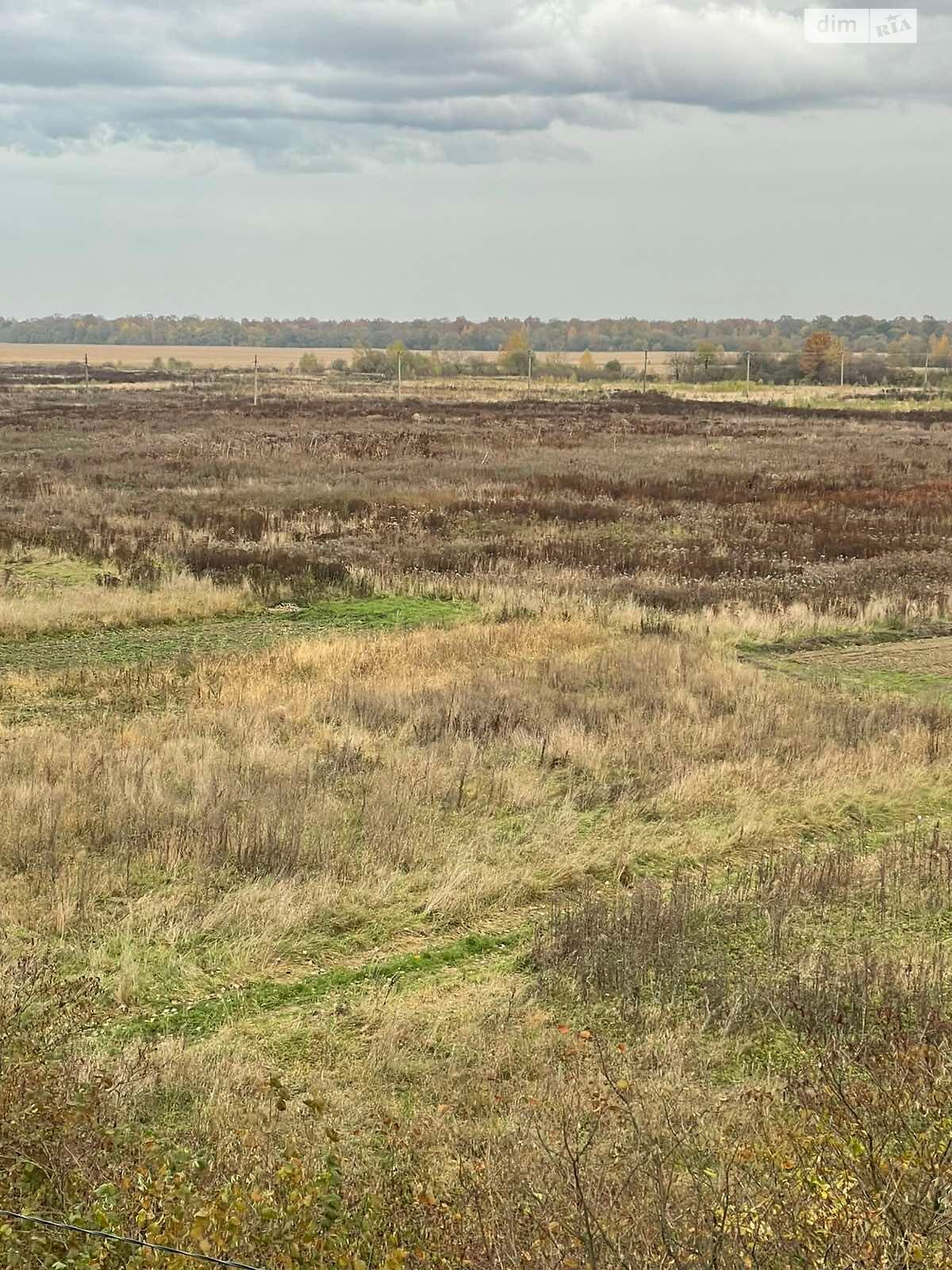 Оренда землі сільськогосподарського призначення в Болехові, ціна: 22 792 грн за об’єкт фото 1 Оренда землі сільськогосподарського призначення в Болехові, ціна: 22 792 грн за об’єкт фото 1