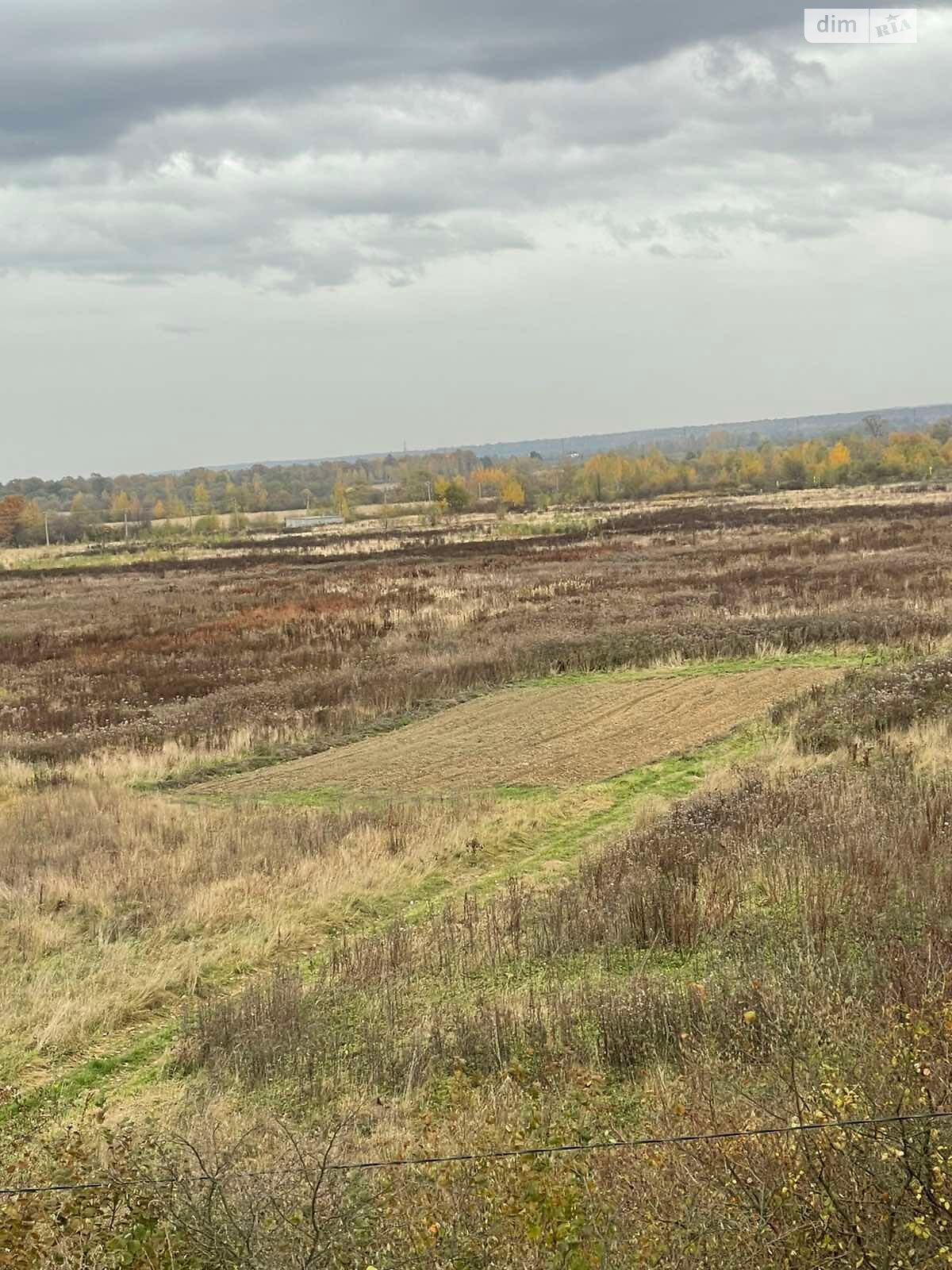 Оренда землі сільськогосподарського призначення в Болехові, ціна: 22 792 грн за об’єкт фото 1 Оренда землі сільськогосподарського призначення в Болехові, ціна: 22 792 грн за об’єкт фото 1
