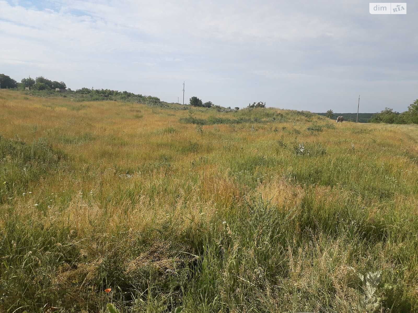 Оренда землі сільськогосподарського призначення в Борівці, ціна: 9 621 грн за об’єкт фото 1