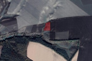 Оренда землі сільськогосподарського призначення в Борщагівці, ціна: 4 099 грн за об’єкт фото 1