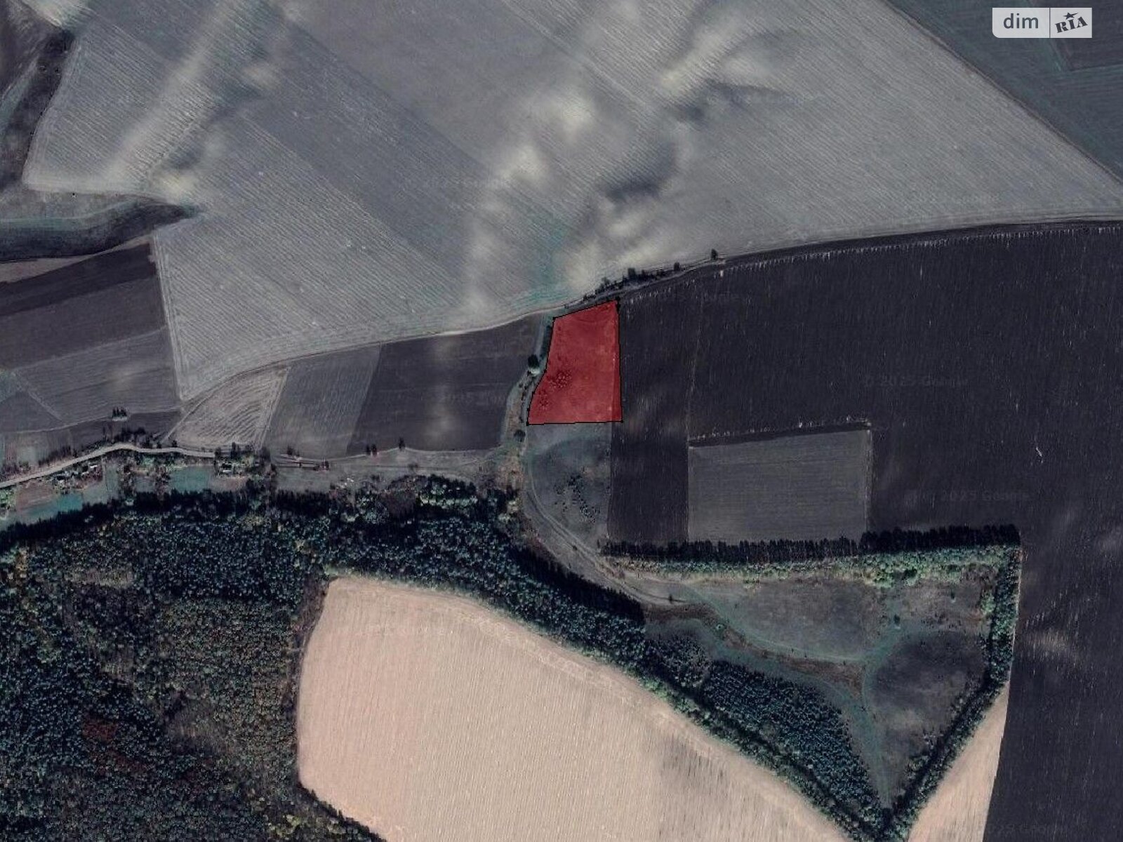 Аренда земли сельскохозяйственного назначения в Борщаговке, цена: 4 099 грн за объект фото 1 Аренда земли сельскохозяйственного назначения в Борщаговке, цена: 4 099 грн за объект фото 1