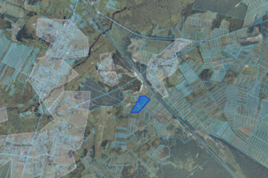 Оренда землі сільськогосподарського призначення в Борзовій, ціна: 20 302 грн за об’єкт фото 1