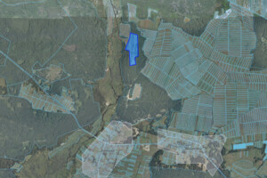 Аренда земли сельскохозяйственного назначения в Брунетовке, цена: 28 606 грн за объект фото 1 Аренда земли сельскохозяйственного назначения в Брунетовке, цена: 28 606 грн за объект фото 1