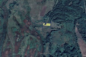 Оренда землі сільськогосподарського призначення в Бубнівській Слобідці, ціна: 798 грн за об’єкт фото 1