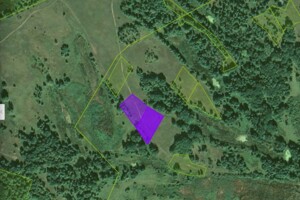 Оренда землі сільськогосподарського призначення в Бубнівській Слобідці, ціна: 144 грн за об’єкт фото 1