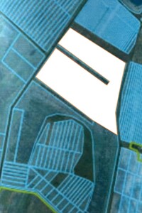 Аренда земли сельскохозяйственного назначения в Быхове, цена: 52 724 грн за объект фото 1