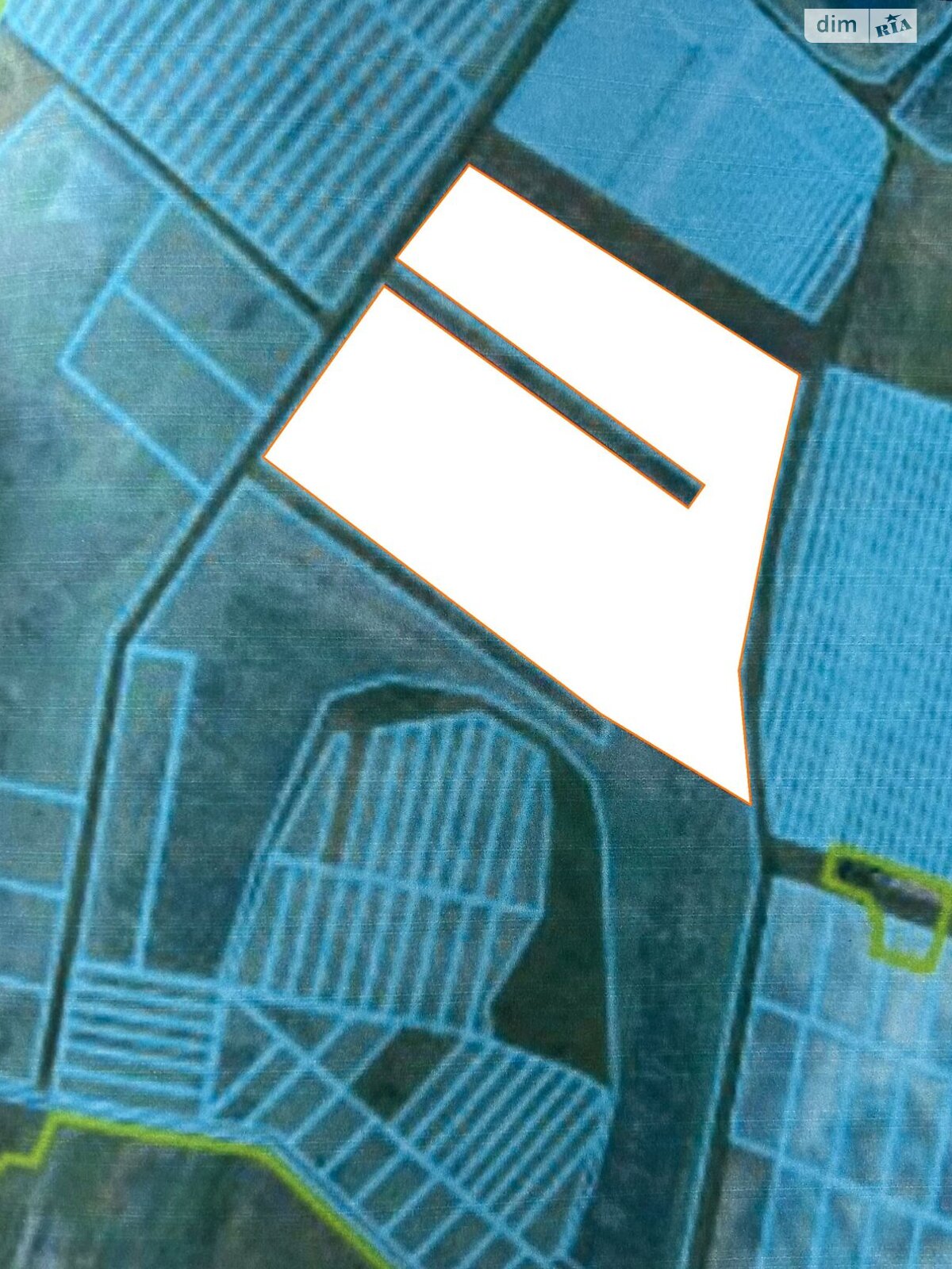 Аренда земли сельскохозяйственного назначения в Быхове, цена: 52 724 грн за объект фото 1