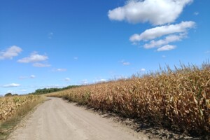 Оренда землі сільськогосподарського призначення в Бикові, ціна: 41 794 грн за об’єкт фото 1 Оренда землі сільськогосподарського призначення в Бикові, ціна: 41 794 грн за об’єкт фото 1