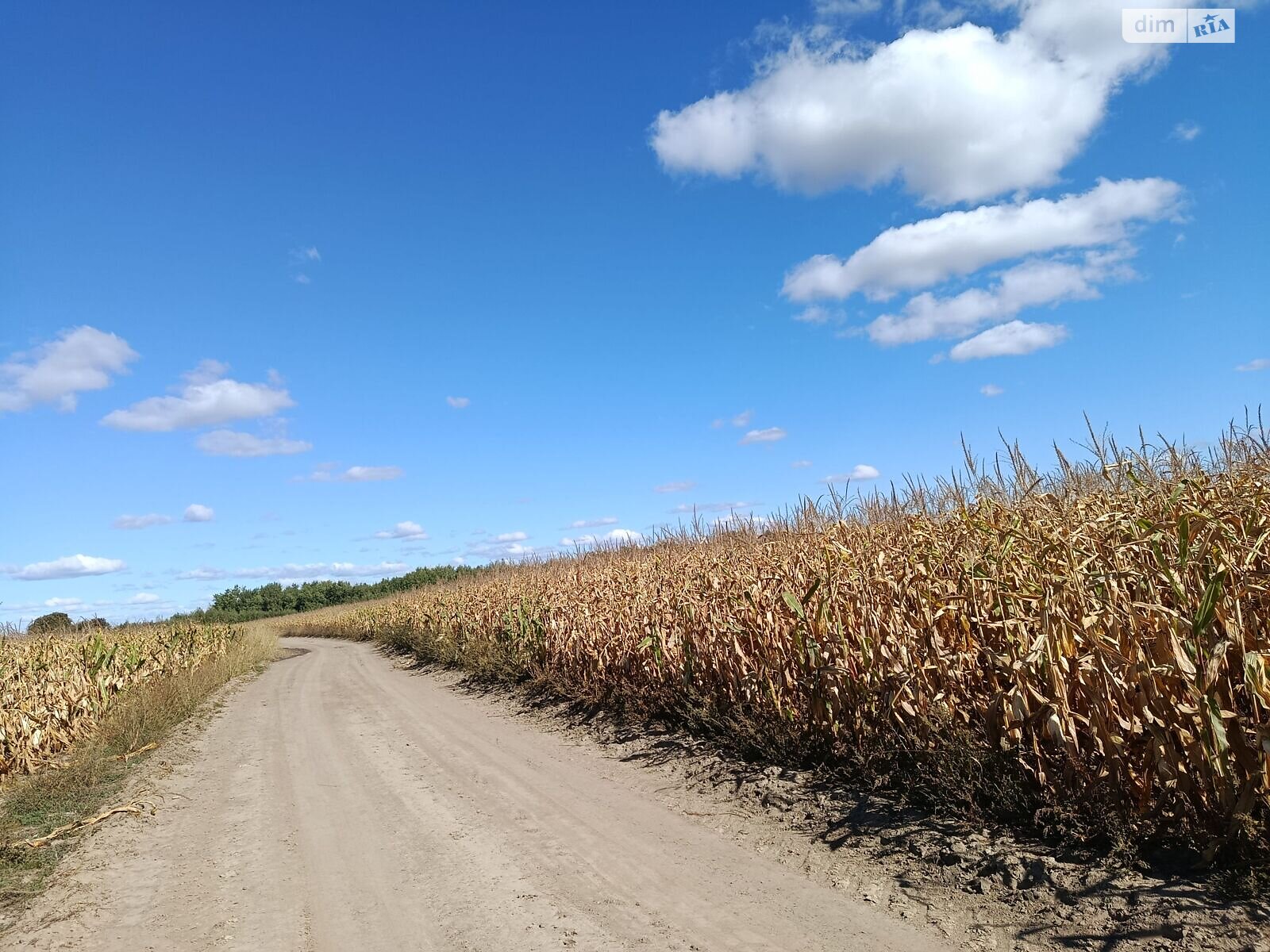 Оренда землі сільськогосподарського призначення в Бикові, ціна: 41 794 грн за об’єкт фото 1 Оренда землі сільськогосподарського призначення в Бикові, ціна: 41 794 грн за об’єкт фото 1
