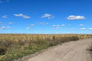 Оренда землі сільськогосподарського призначення в Бикові, ціна: 45 595 грн за об’єкт фото 1