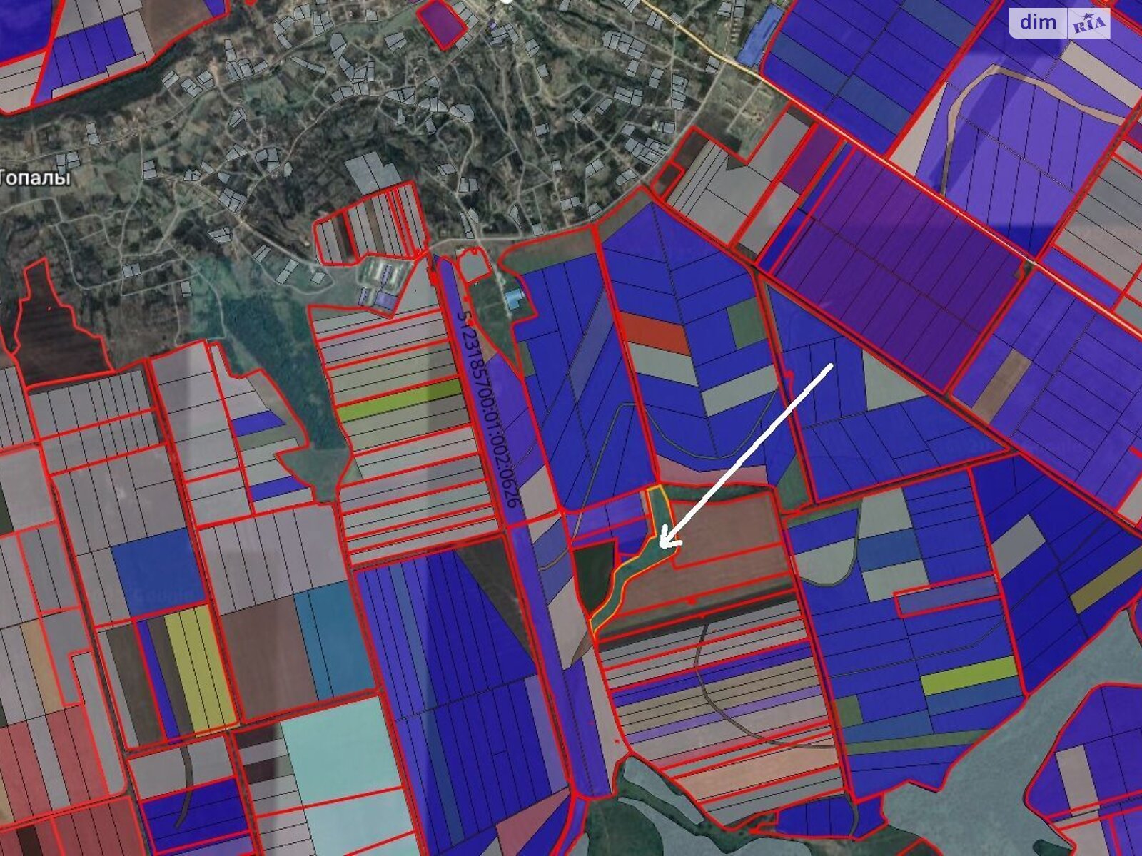 Аренда земли сельскохозяйственного назначения в Черной, цена: 26 253 грн за объект фото 1 Аренда земли сельскохозяйственного назначения в Черной, цена: 26 253 грн за объект фото 1