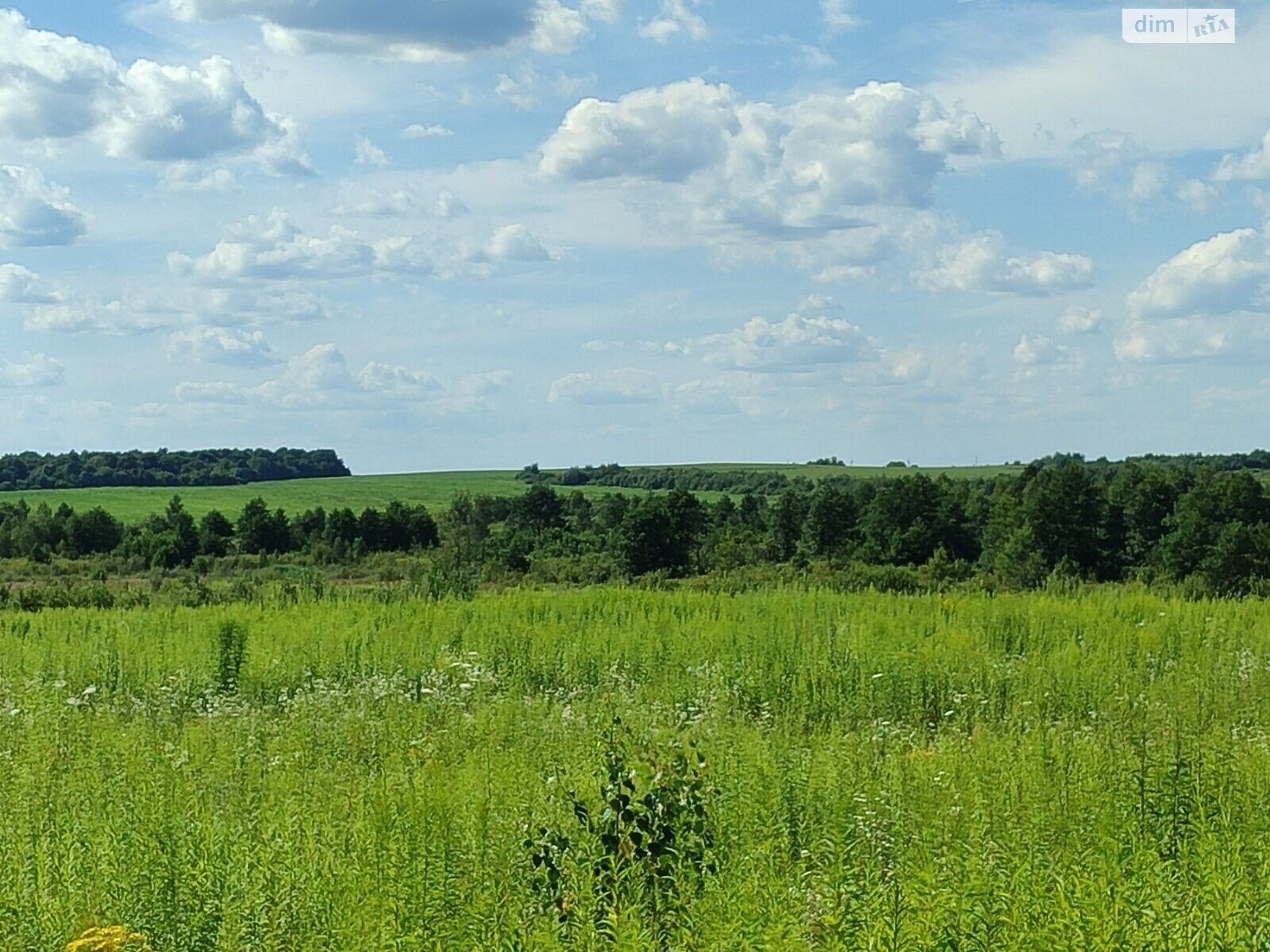 Оренда землі сільськогосподарського призначення в Чернилявій, ціна: 10 077 грн за об’єкт фото 1 Оренда землі сільськогосподарського призначення в Чернилявій, ціна: 10 077 грн за об’єкт фото 1
