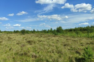 Оренда землі сільськогосподарського призначення в Чернилявій, ціна: 9 829 грн за об’єкт фото 1 Оренда землі сільськогосподарського призначення в Чернилявій, ціна: 9 829 грн за об’єкт фото 1