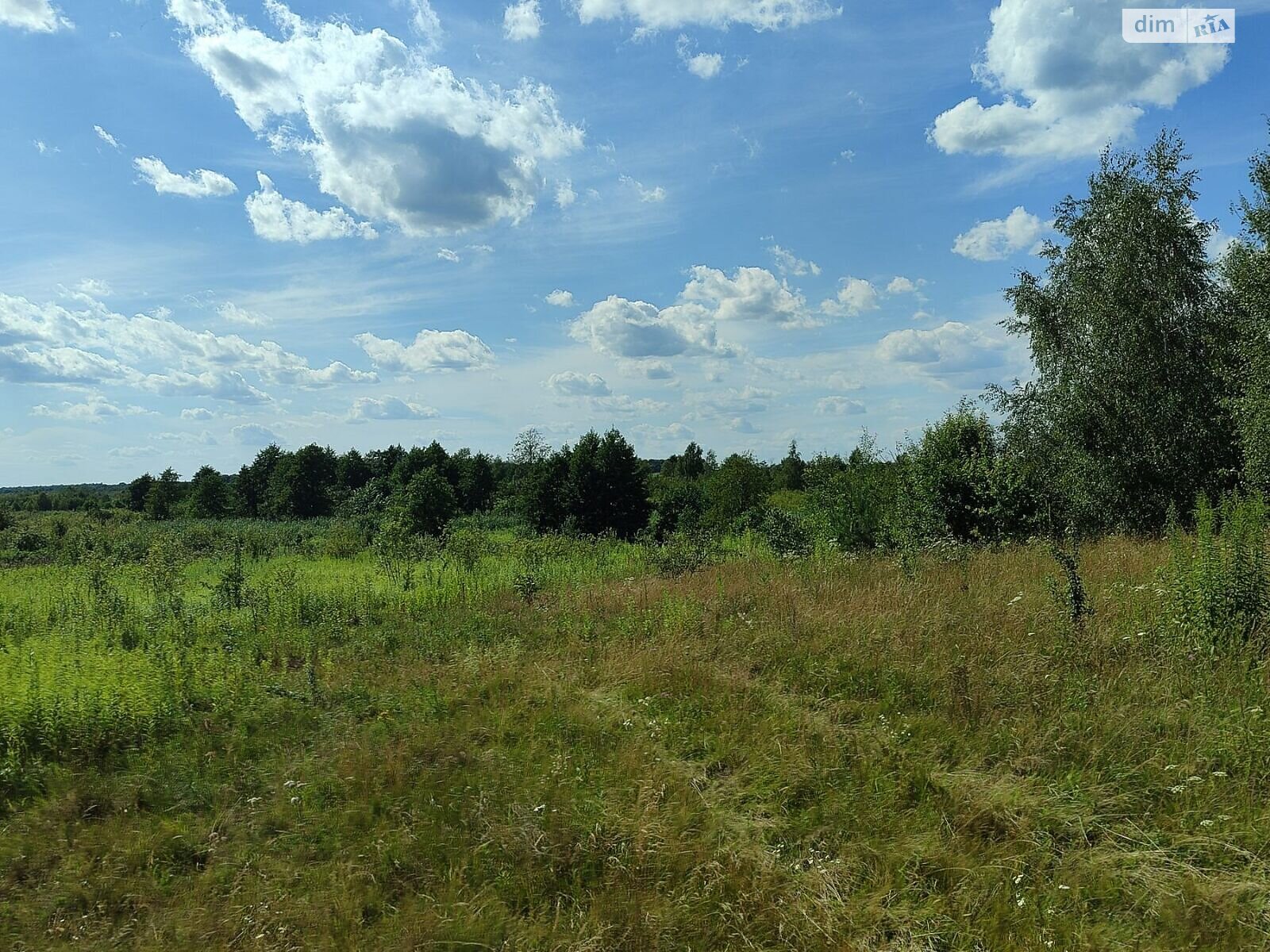 Оренда землі сільськогосподарського призначення в Чернилявій, ціна: 10 077 грн за об’єкт фото 1 Оренда землі сільськогосподарського призначення в Чернилявій, ціна: 10 077 грн за об’єкт фото 1