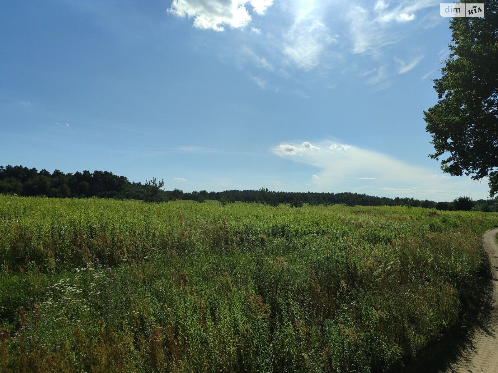 Оренда землі сільськогосподарського призначення в Чернилявій, ціна: 26 911 грн за об’єкт фото 1 Оренда землі сільськогосподарського призначення в Чернилявій, ціна: 26 911 грн за об’єкт фото 1