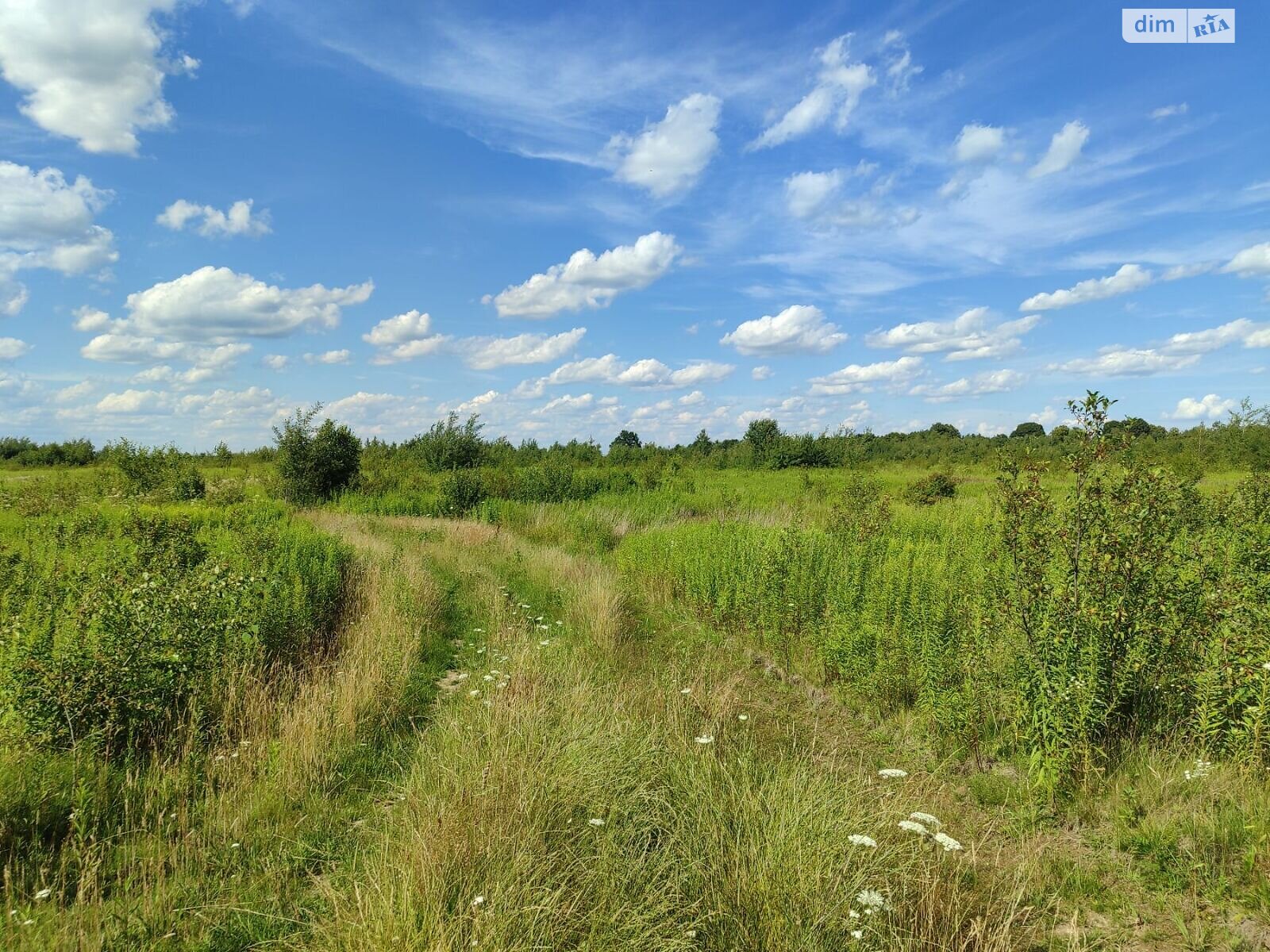 Оренда землі сільськогосподарського призначення в Чернилявій, ціна: 9 829 грн за об’єкт фото 1 Оренда землі сільськогосподарського призначення в Чернилявій, ціна: 9 829 грн за об’єкт фото 1