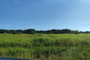 Оренда землі сільськогосподарського призначення в Чернилявій, ціна: 26 911 грн за об’єкт фото 1 Оренда землі сільськогосподарського призначення в Чернилявій, ціна: 26 911 грн за об’єкт фото 1