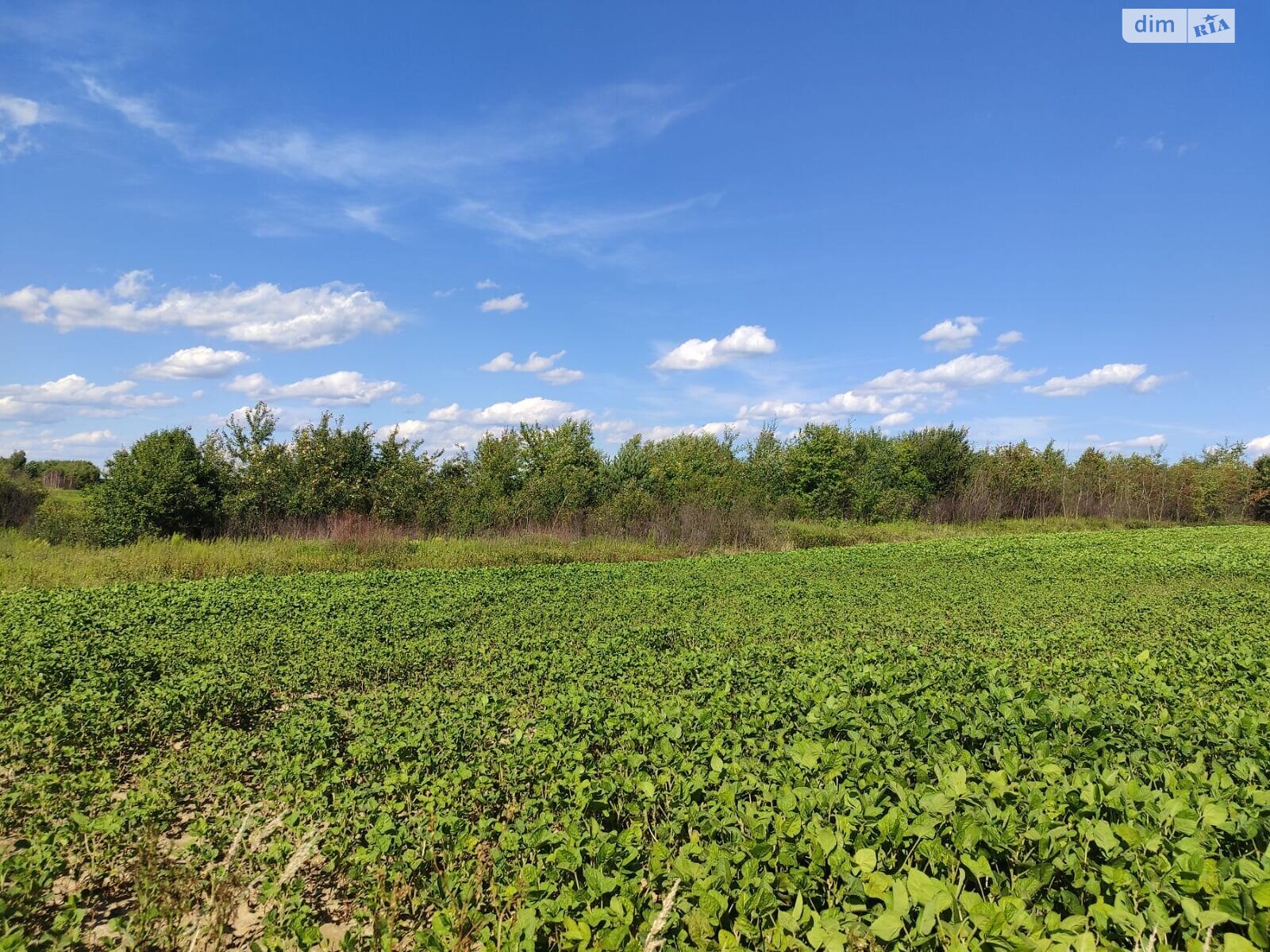 Аренда земли сельскохозяйственного назначения в Чернилявой, цена: 12 378 грн за объект фото 1