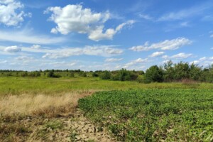 Аренда земли сельскохозяйственного назначения в Чернилявой, цена: 12 378 грн за объект фото 1
