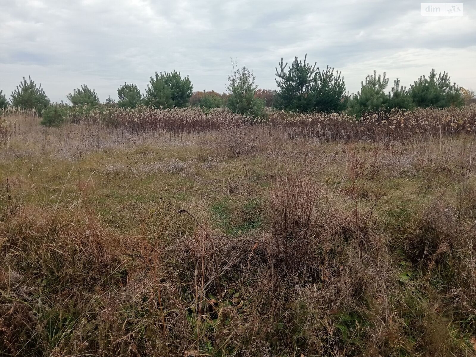 Оренда землі сільськогосподарського призначення в Чернилявій, ціна: 15 820 грн за об’єкт фото 1 Оренда землі сільськогосподарського призначення в Чернилявій, ціна: 15 820 грн за об’єкт фото 1