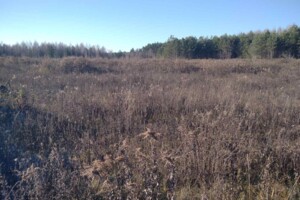 Аренда земли сельскохозяйственного назначения в Чернише, цена: 6 230 грн за объект фото 1