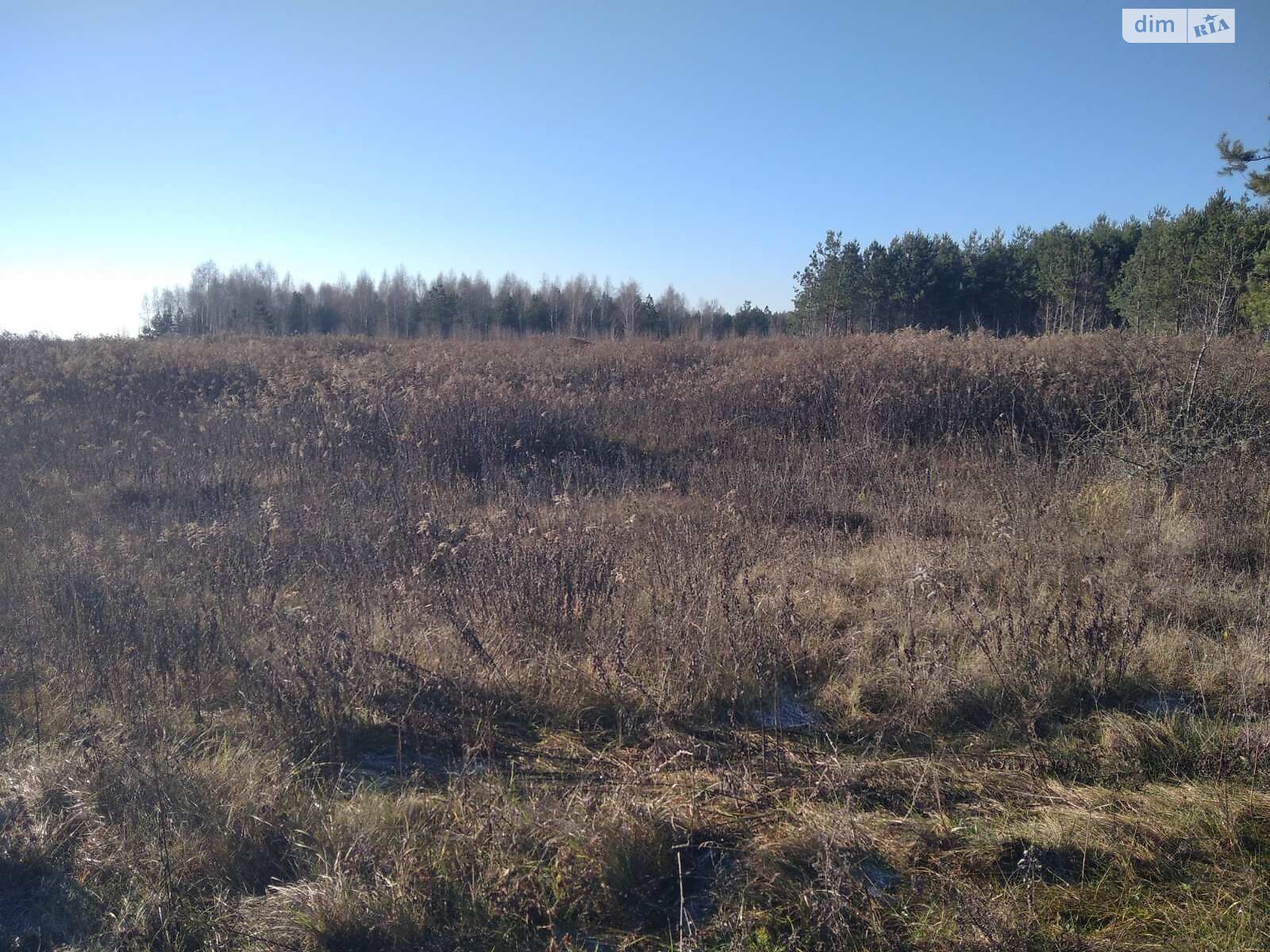 Аренда земли сельскохозяйственного назначения в Чернише, цена: 6 230 грн за объект фото 1