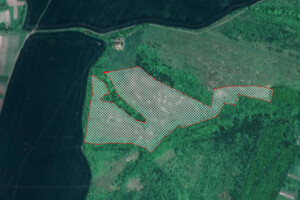 Аренда земли сельскохозяйственного назначения в Чёрном Лесе, цена: 52 769 грн за объект фото 1