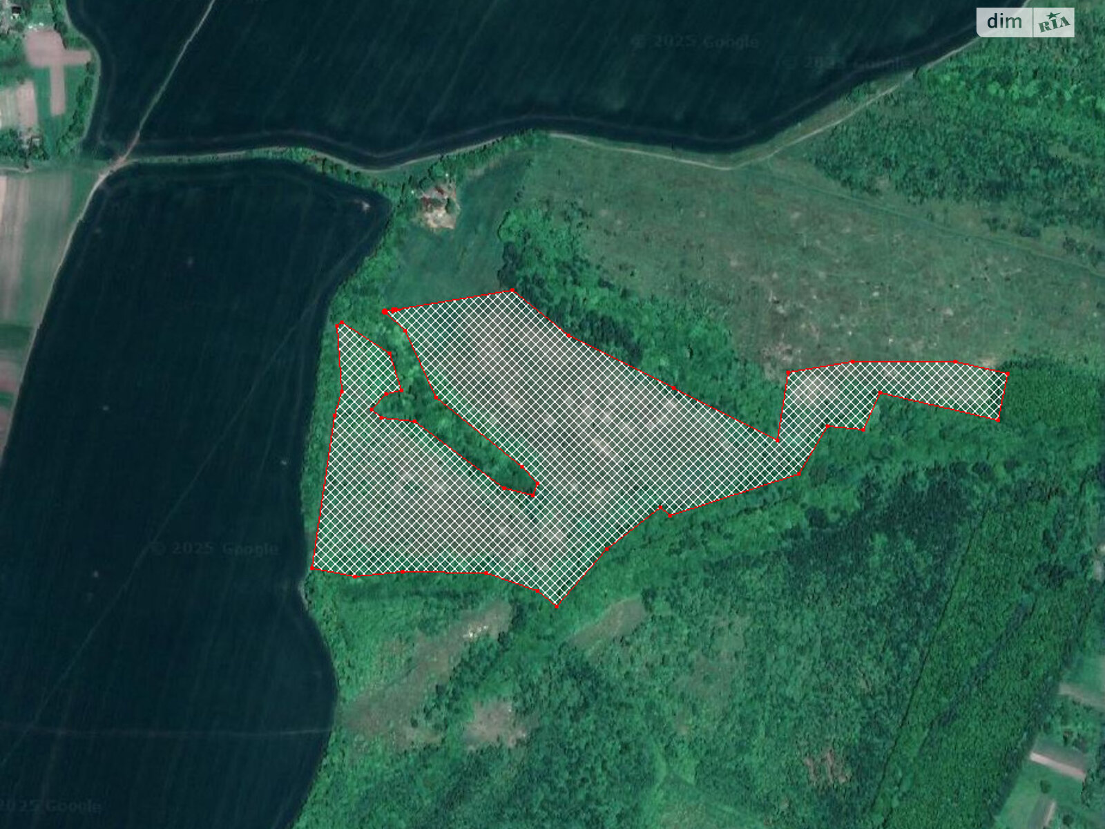 Аренда земли сельскохозяйственного назначения в Чёрном Лесе, цена: 52 769 грн за объект фото 1 Аренда земли сельскохозяйственного назначения в Чёрном Лесе, цена: 52 769 грн за объект фото 1