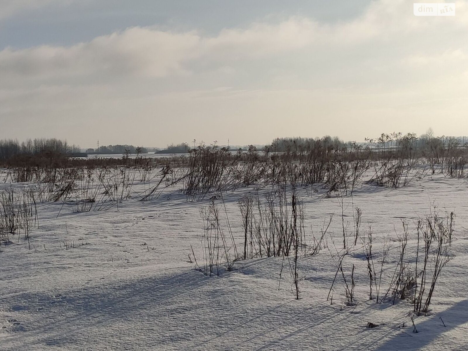 Аренда земли сельскохозяйственного назначения в Даниловке, цена: 8 157 грн за объект фото 1